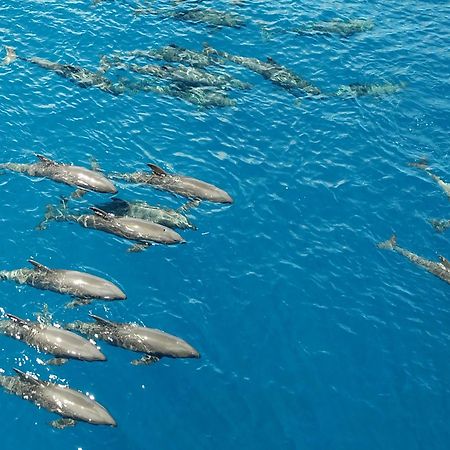 Atauro Dive Resort Beloi Eksteriør bilde