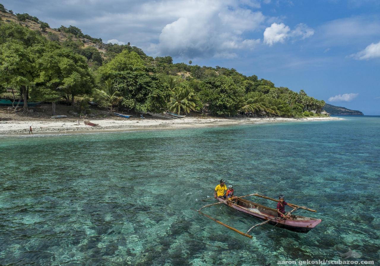 Atauro Dive Resort Beloi Eksteriør bilde