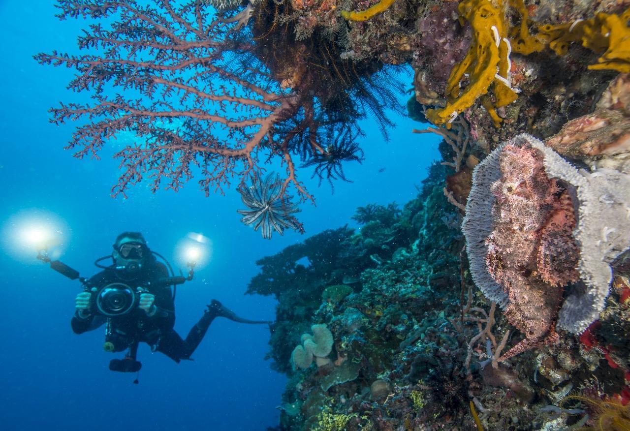 Atauro Dive Resort Beloi Eksteriør bilde
